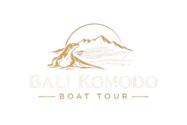 Bali Komodo Boat Tour