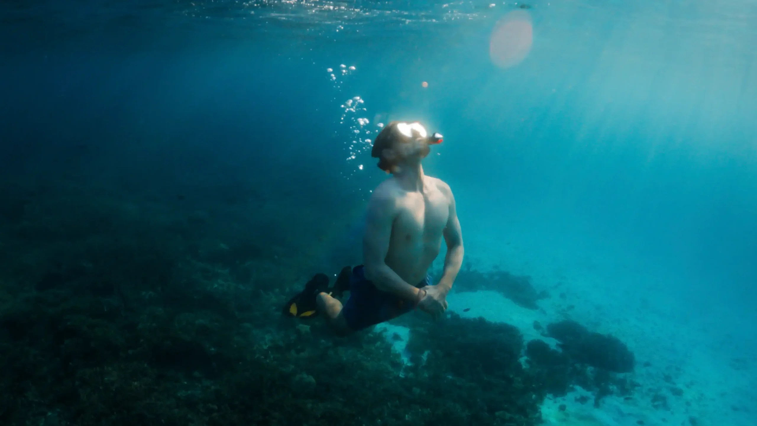 Underwater Celestia Yacht Cruise Phinisi | Komodo Boat Tour | Komodo Luxury